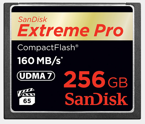 CompactFlash o pojemnoci 256 GB - SanDisk