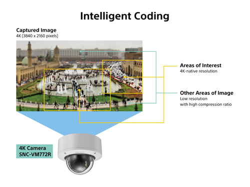 Intellligent_Coding