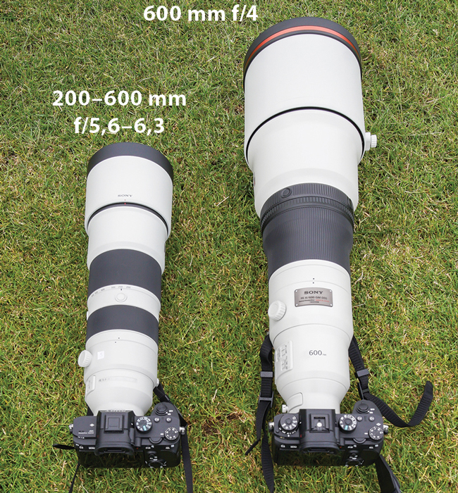 Sony FE 200-600  vs Sony 600 mm f/4