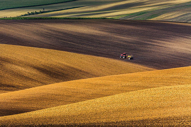 Morawskie pola jesieni, Czechy. Canon EOD 5D Mark III + 17–40 mm f/4 IS