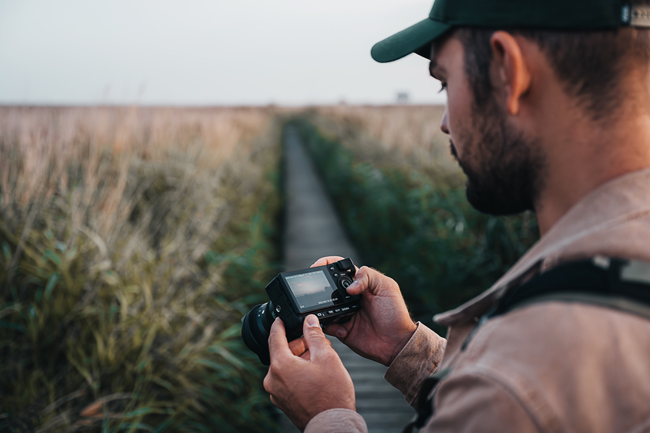 fot. Johannes Hulsch