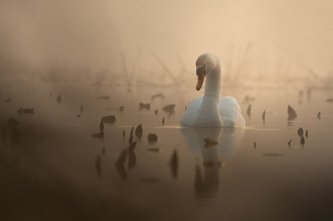 „O wicie”, fot. Maciej Pieniak