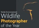 Wildlife Photographer of the Year 2009