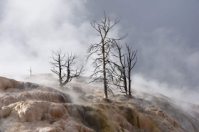 Yellowstone